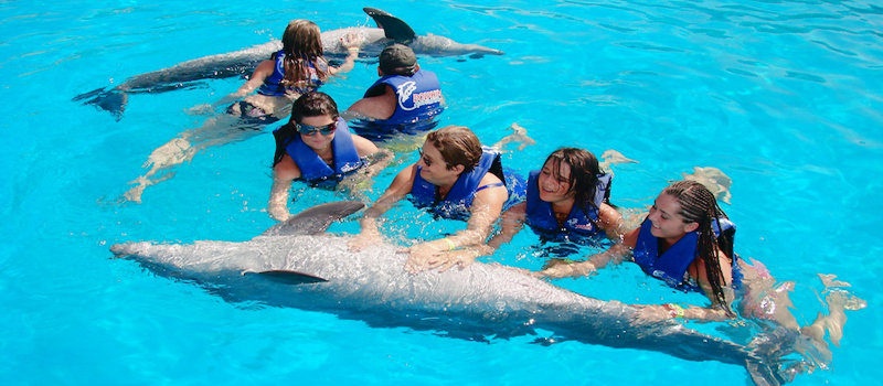 Vuelos a Roatán familia con delfines