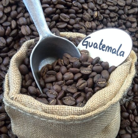 Vuelos a Roatan, café guatemala
